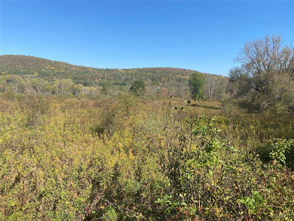 0 West Cuba Road Cuba, NY 14727 - Photo 1 of 1 Gallery Image 1