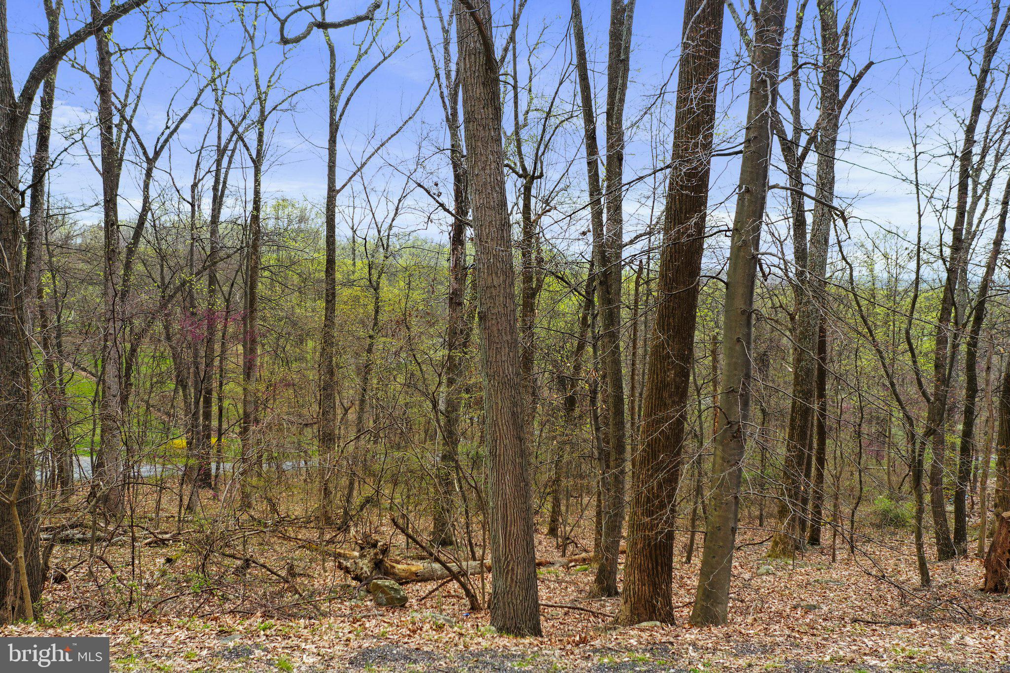 32 Oak Ridge Trail Fairfield, PA 17320 - Photo 5 of 15 Gallery Image 5
