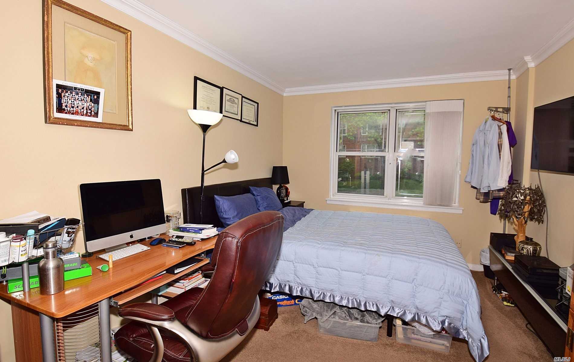 180 South Middle Neck Road, Unit 1M Great Neck, NY 11021 - Photo 10 of 17