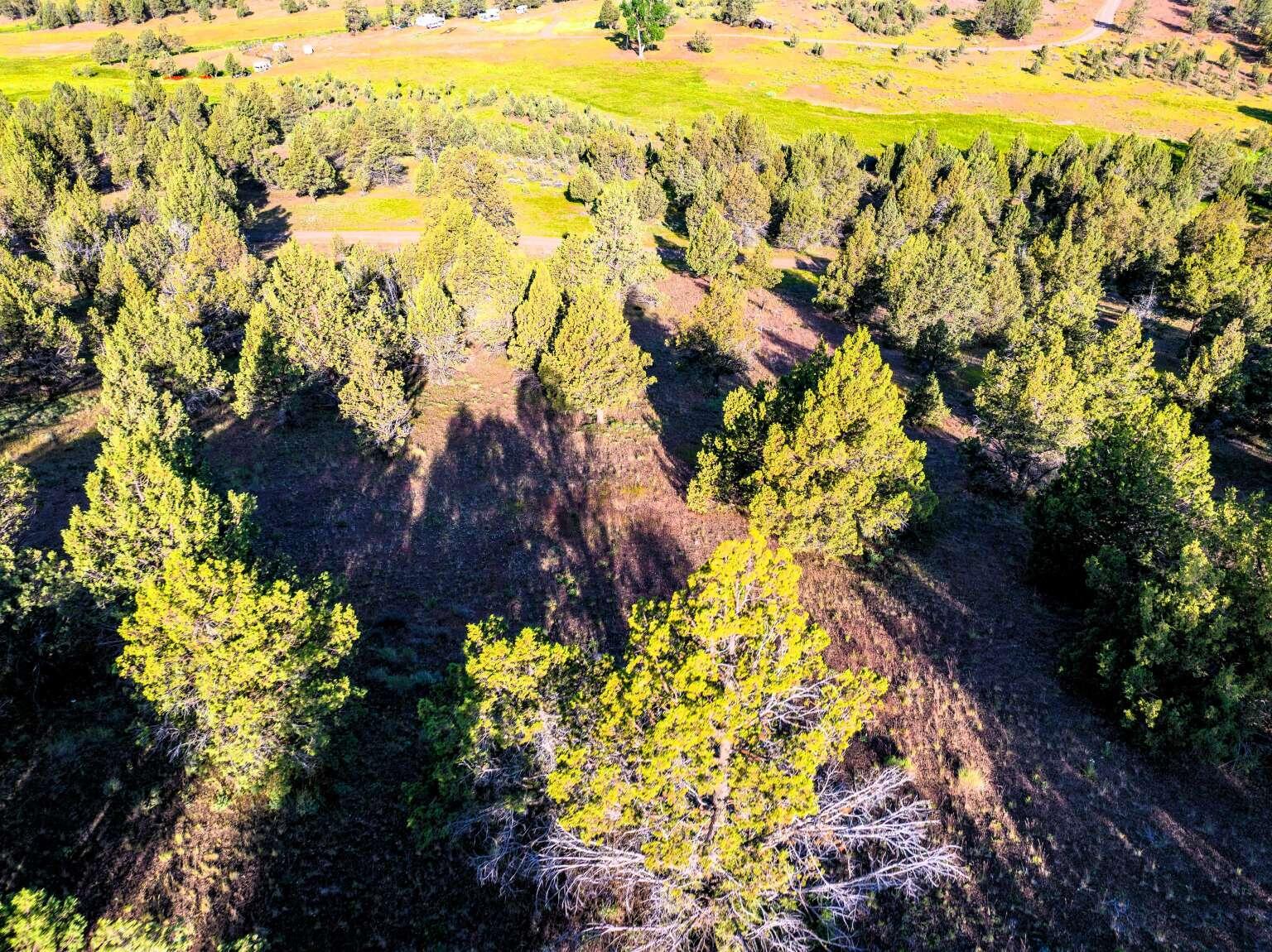 737 Raccoon Lane Alturas, CA 96101 - Photo 5 of 16 Dingman.5
