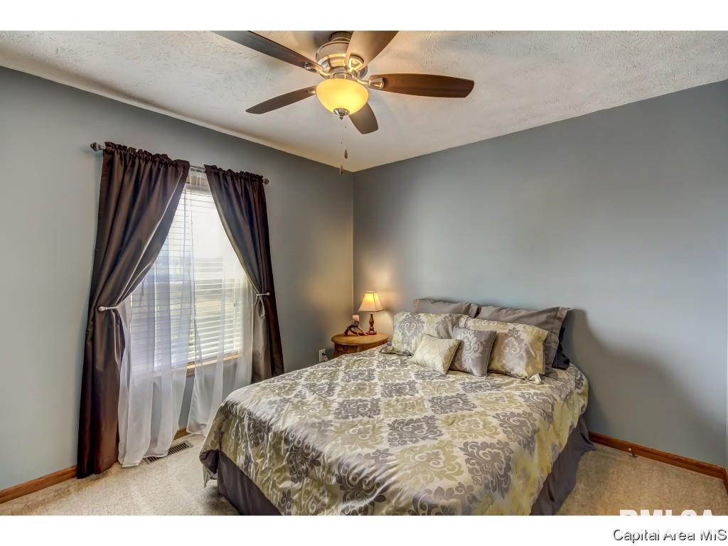 8650 Cardinal Hill Road Rochester, IL 62563 - Photo 16 of 32