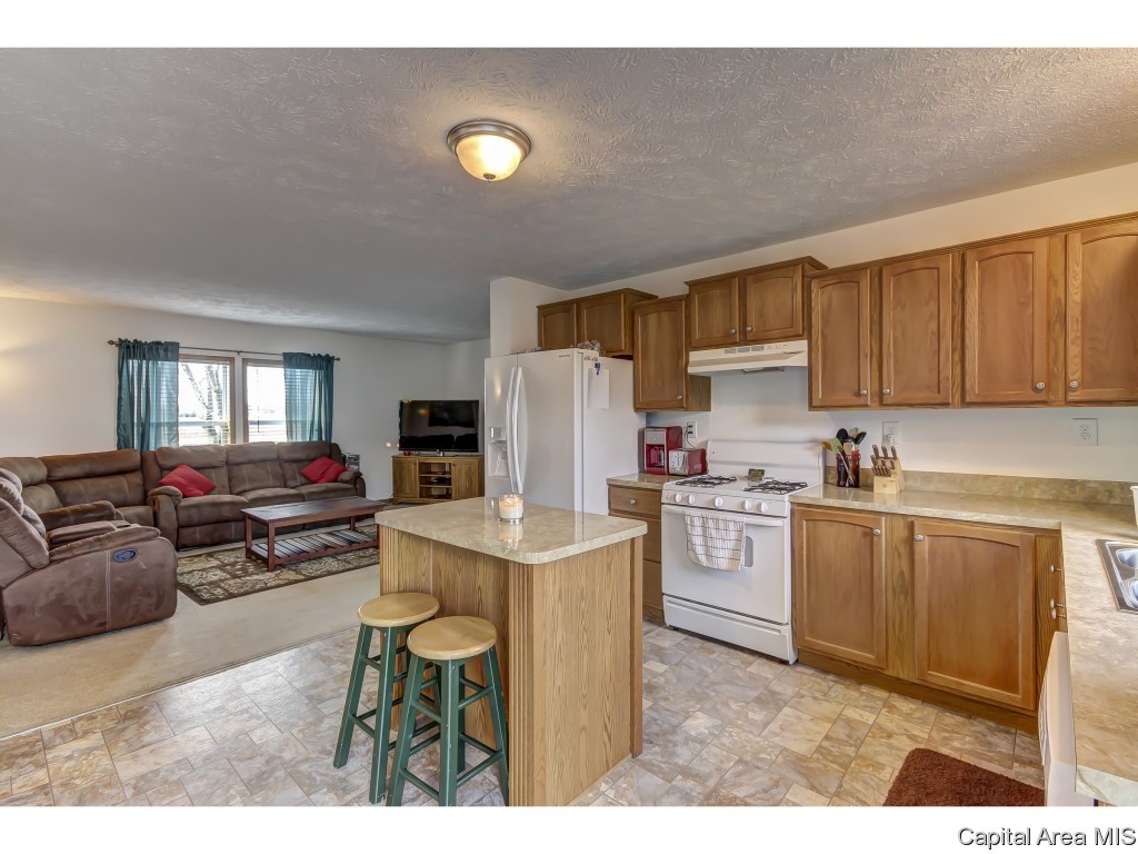 8650 Cardinal Hill Road Rochester, IL 62563 - Photo 10 of 32