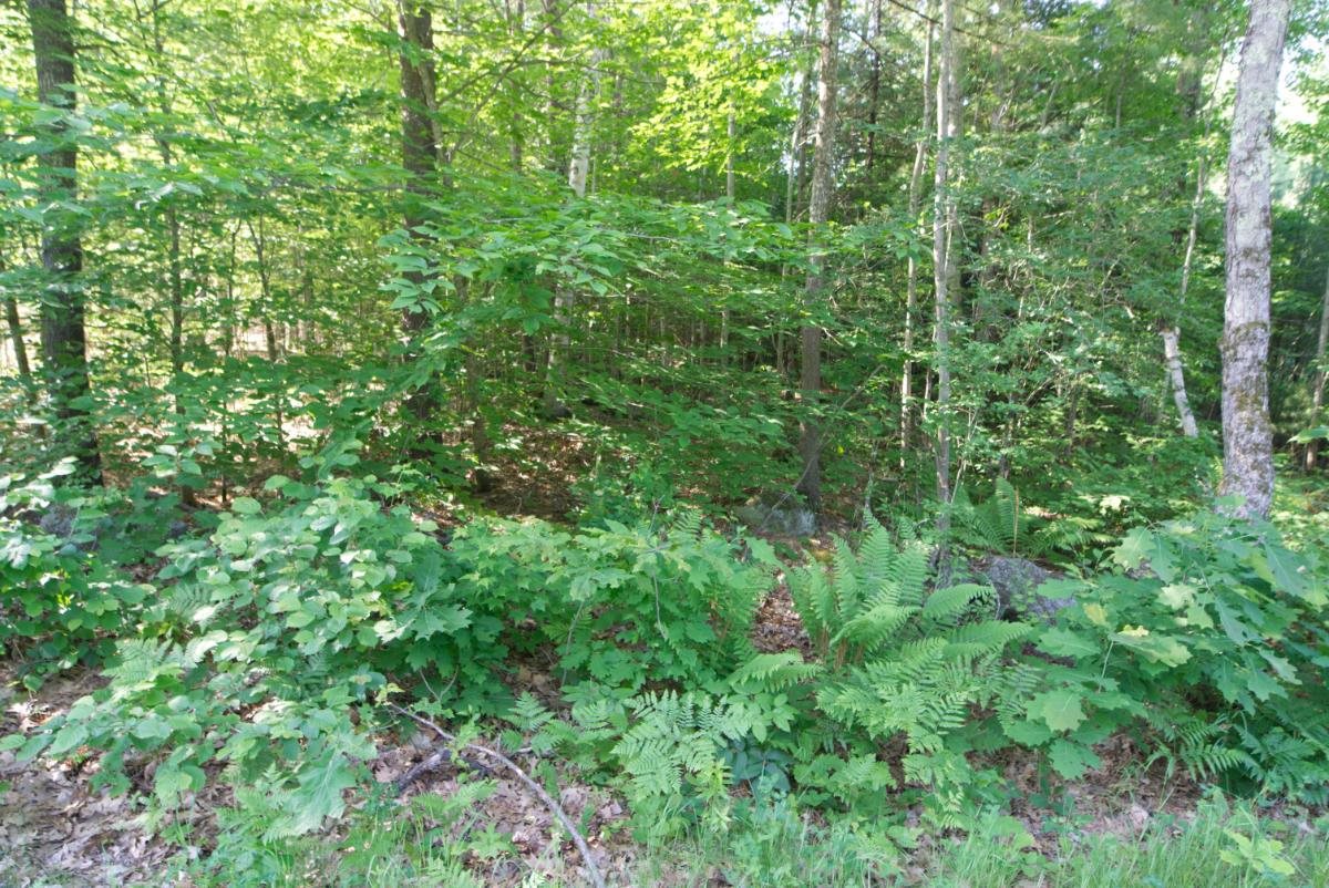 0 Eaton Road, Unit 3 Swanzey, NH 03446 - Photo 2 of 5 Gallery Image 2