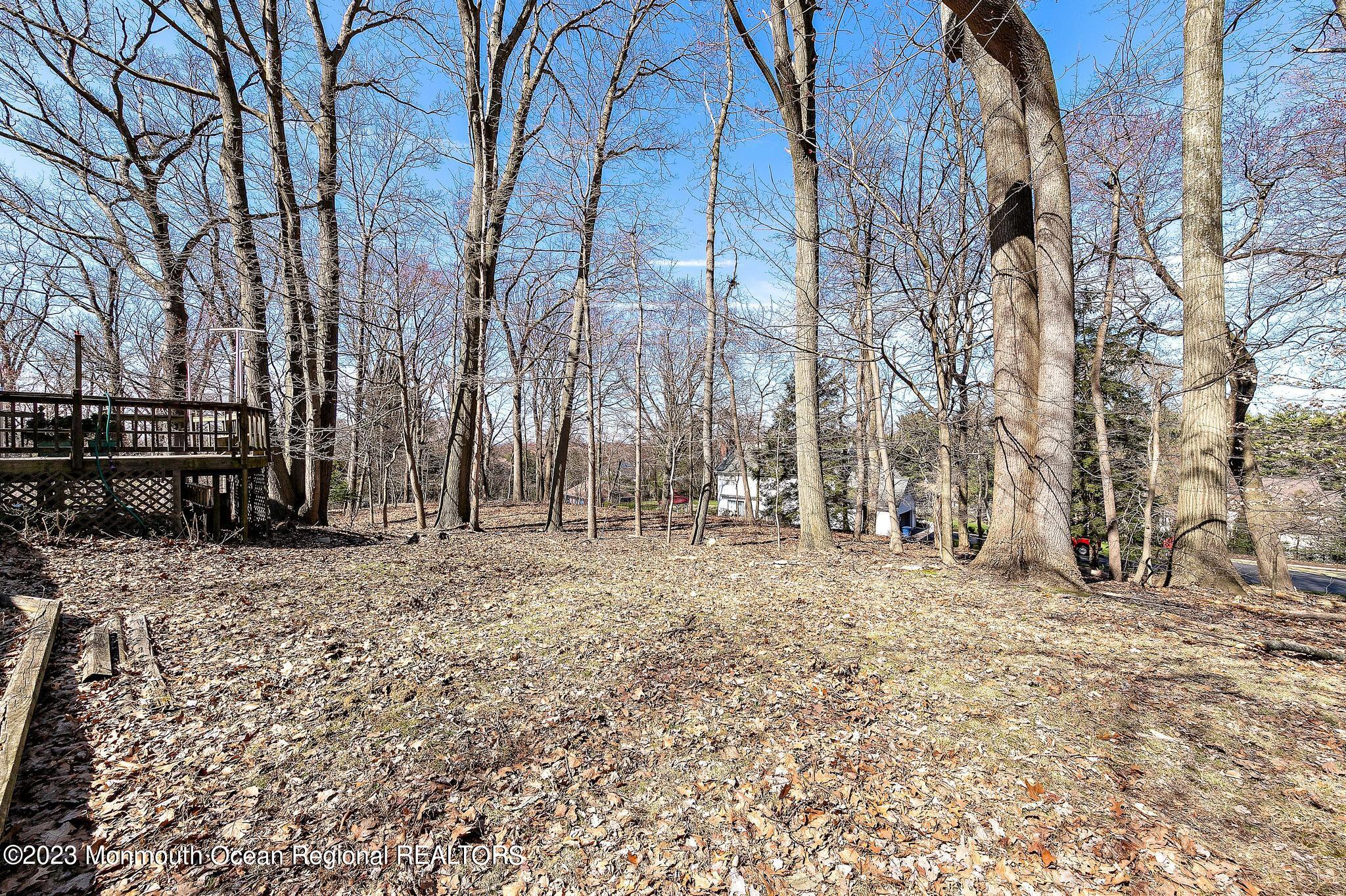 5 Edgewood Drive Holmdel, NJ 07733 - Photo 39 of 46 Yard