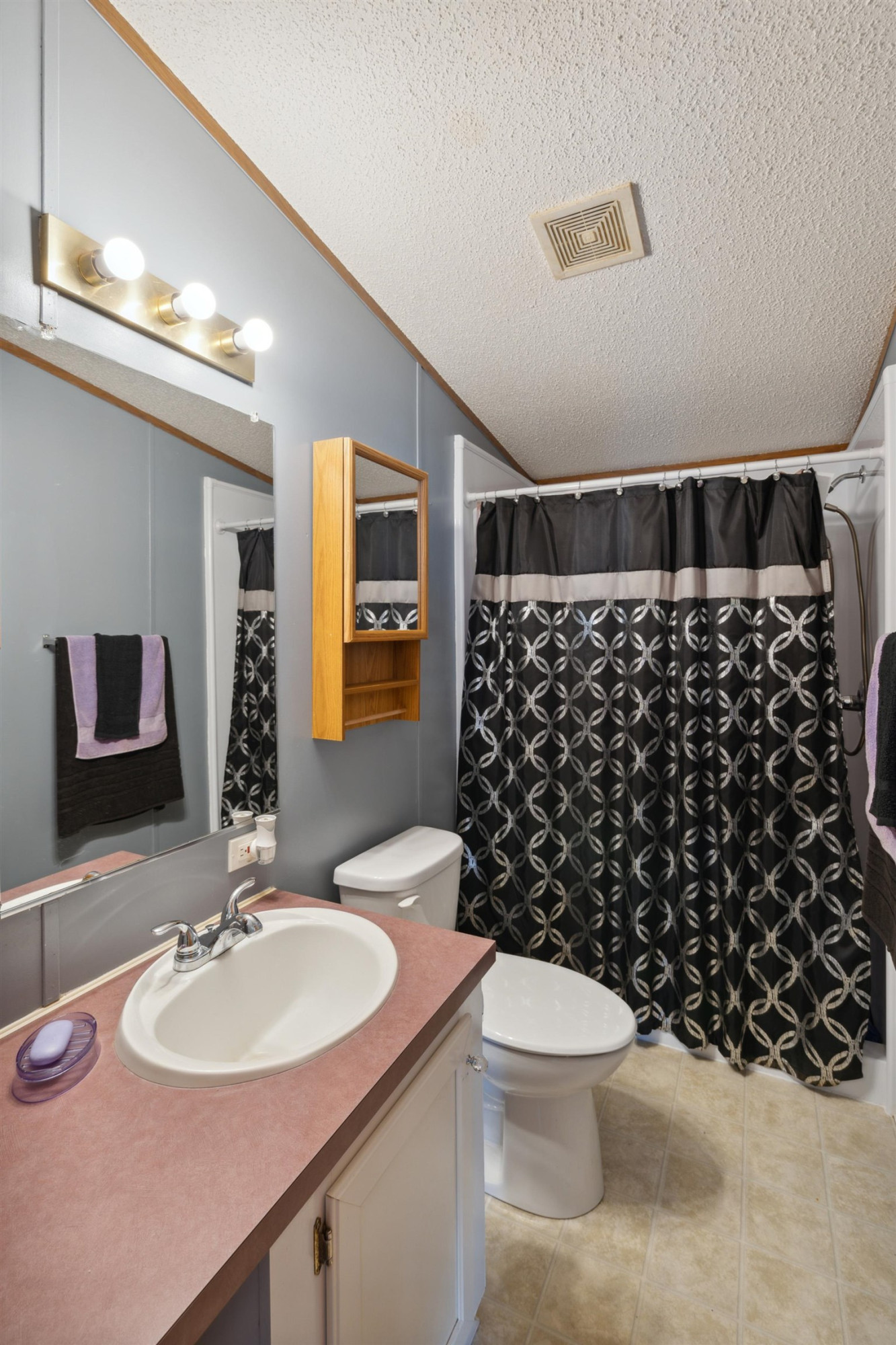 88 Primrose Lane Roxboro, NC 27573 - Photo 17 of 19 Hall Bathroom
