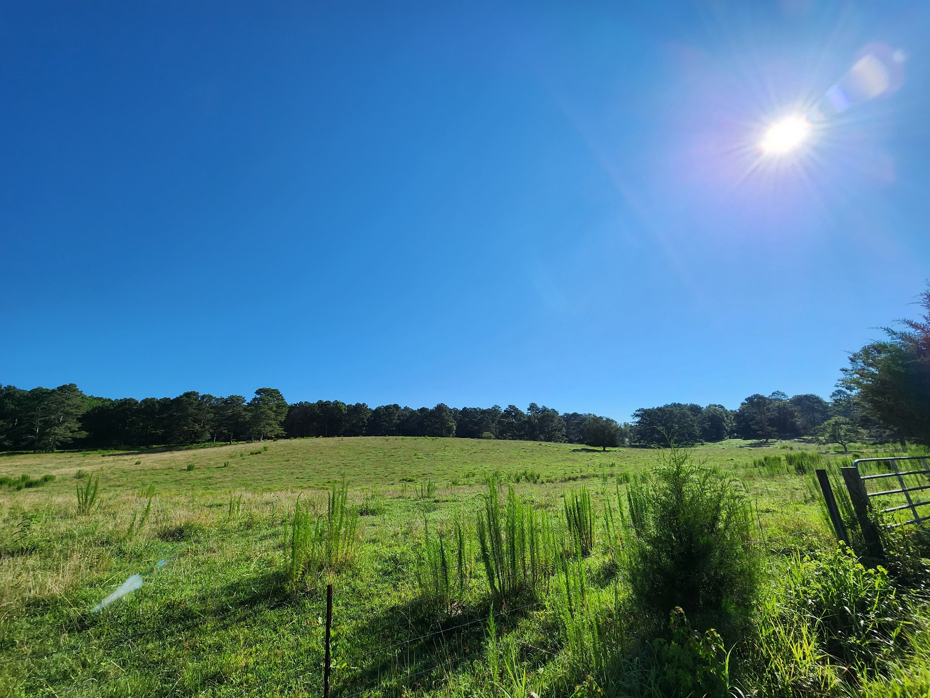 0 Dry Creek Road LaFayette, GA 30728 - Photo 1 of 1 Gallery Image 1