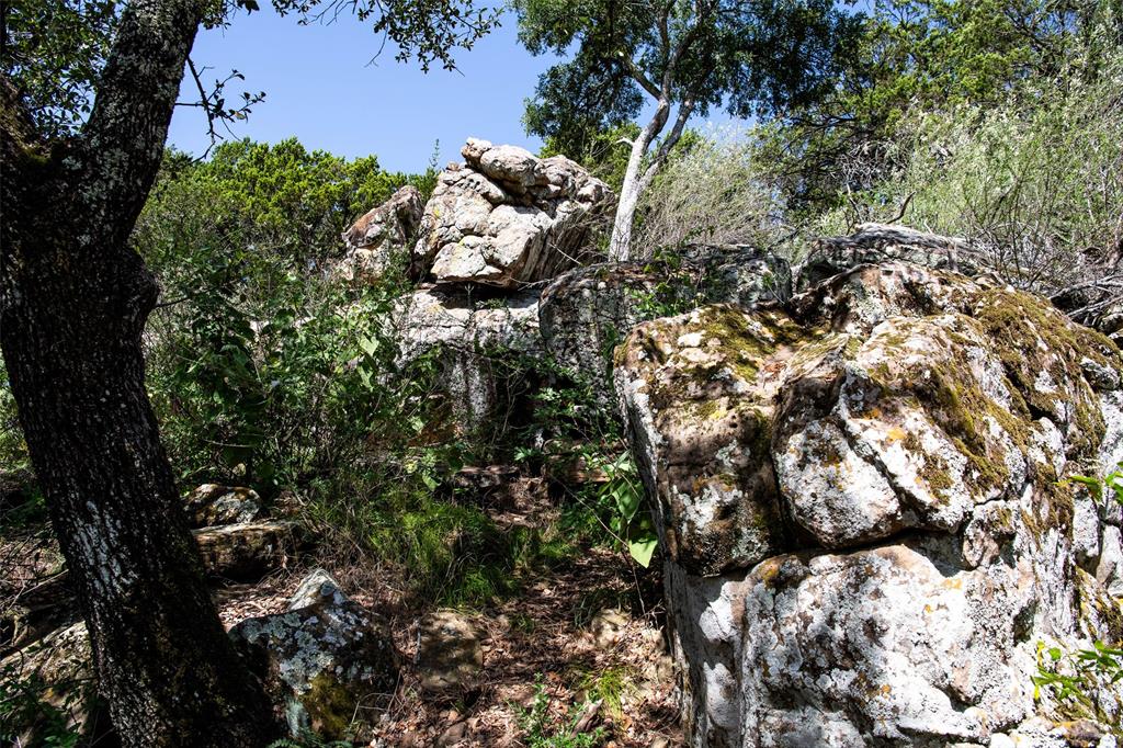 235 Big Bear Loop Strawn, TX 76475 - Photo 25 of 40 a view of a tree