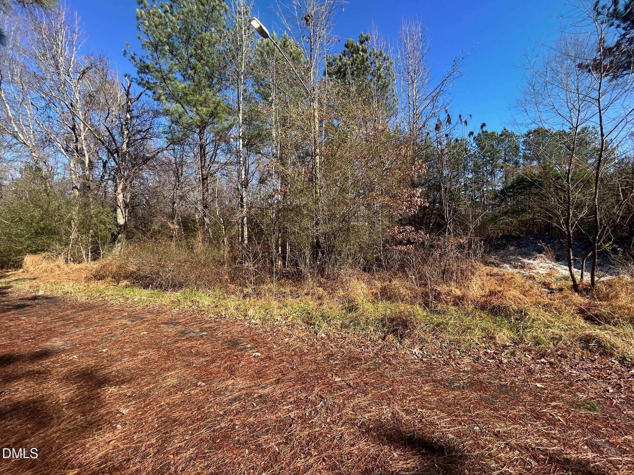 Lot 16 Dove Road Oxford, NC 27565 - Photo 3 of 7
