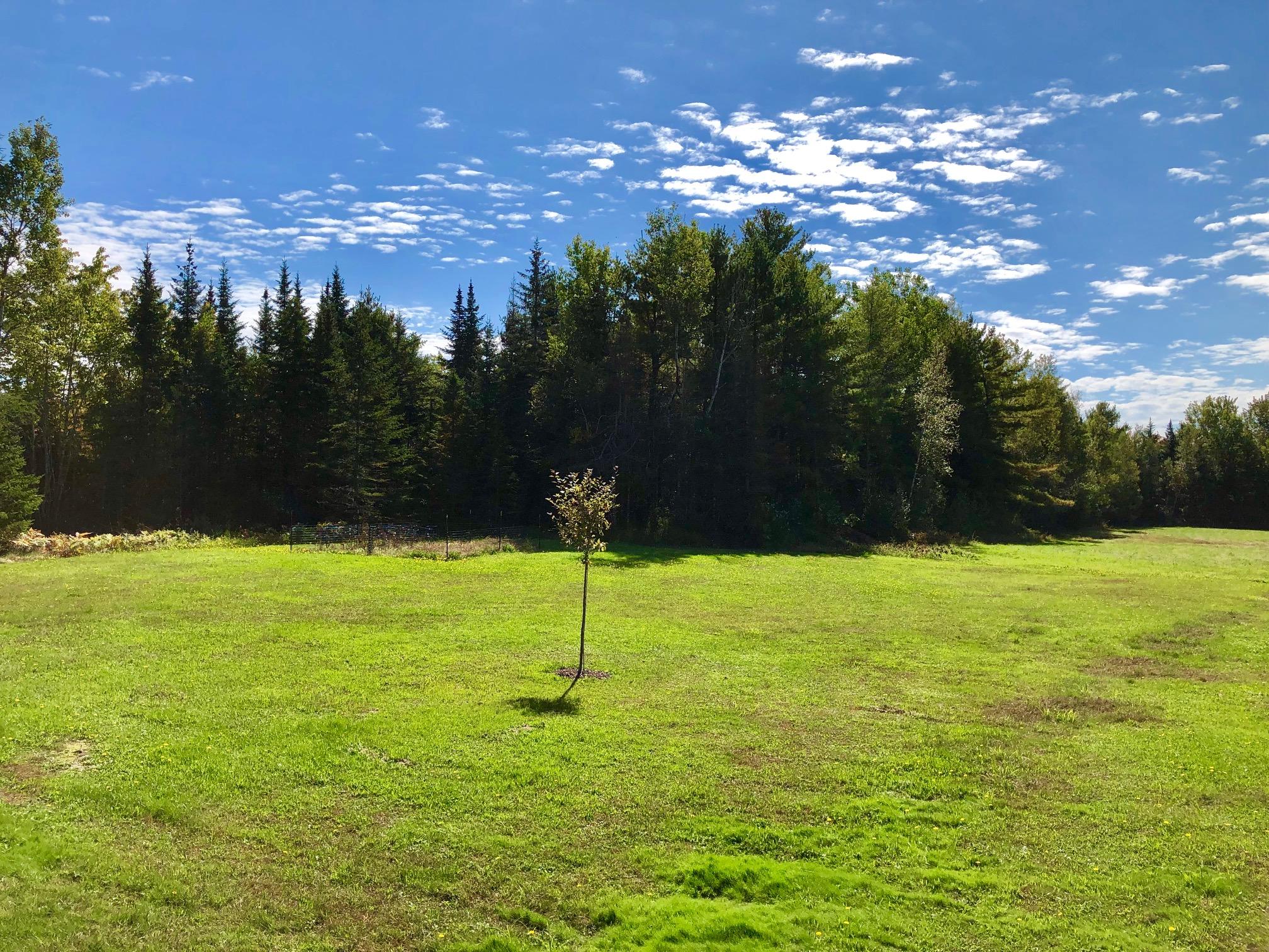 24 Minnow Brook Road Ellsworth, ME 04605 - Photo 68 of 74 Both usable land and wooded lot