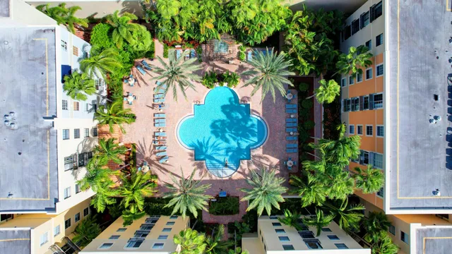 a plant that is in front of a door