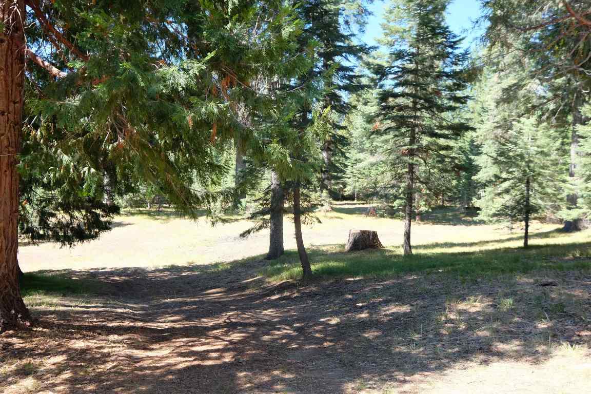 3-e-51 Red Fir Road McCloud, CA 96057 - Photo 38 of 41 Gallery Image 38