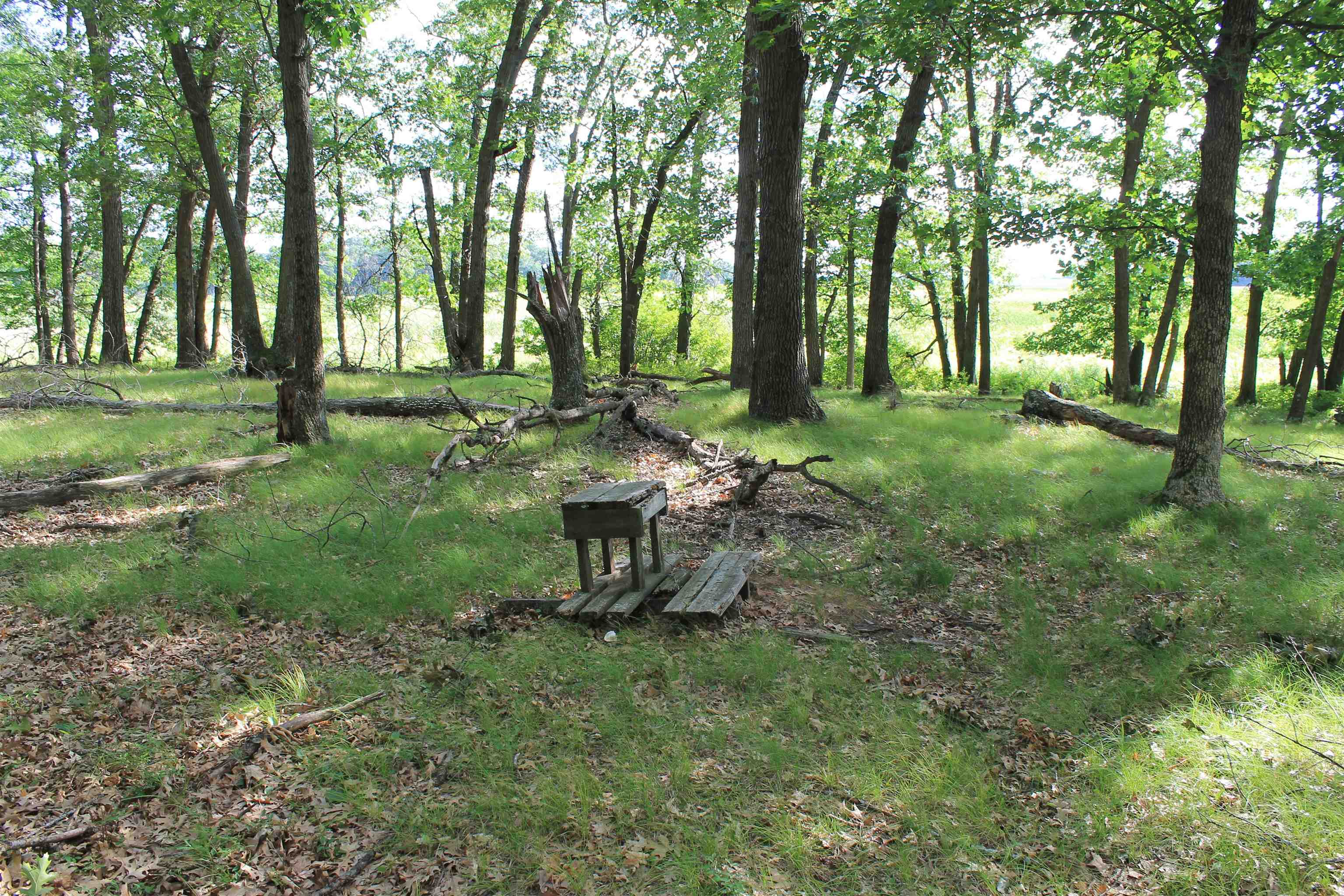 34th Road Berlin, WI 54923 - Photo 16 of 27 Gallery Image 16