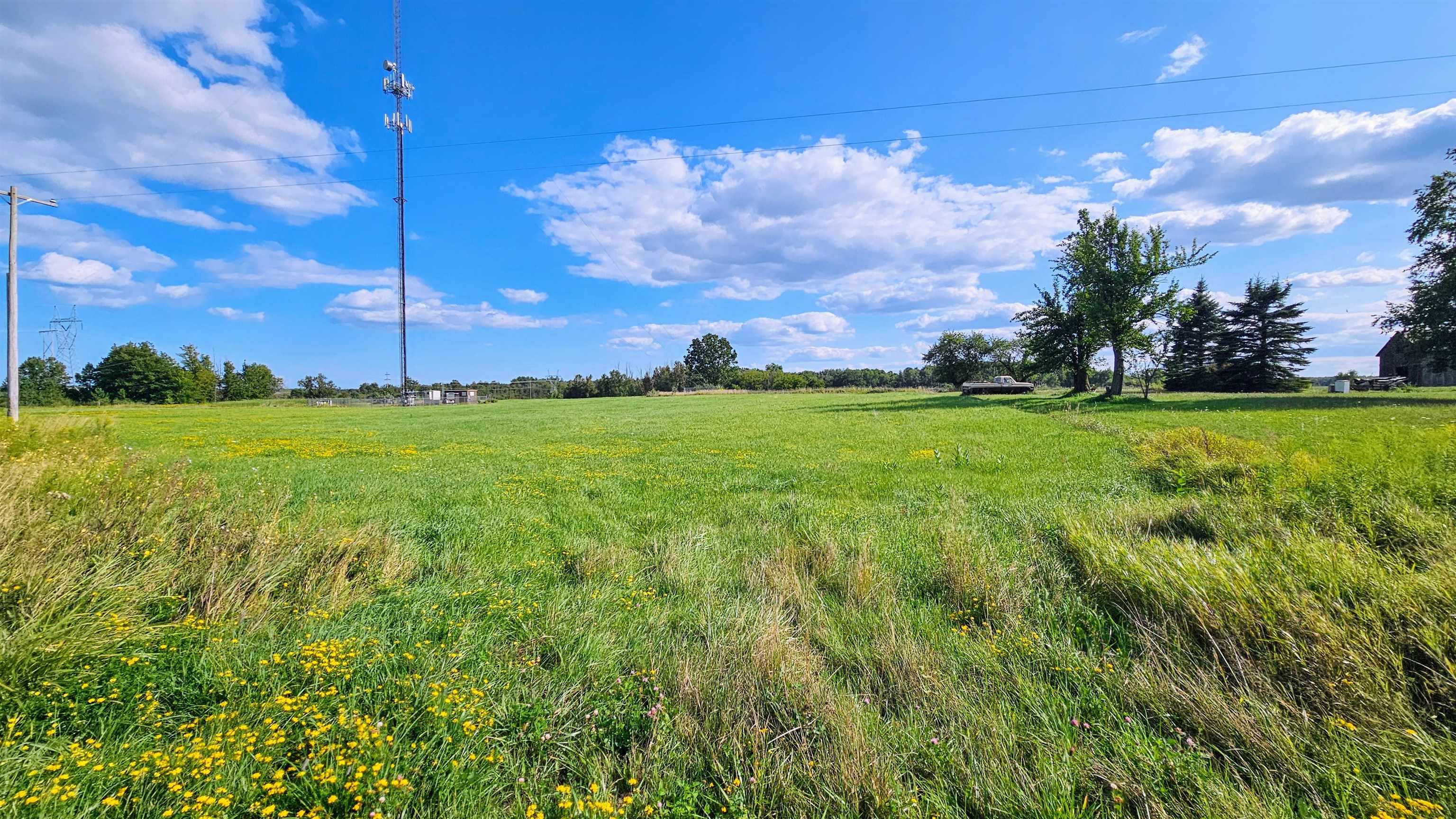 N/a N/a Maple Ridge Road, Unit ROSEBURGH Alger, MI 48610 - Photo 6 of 24