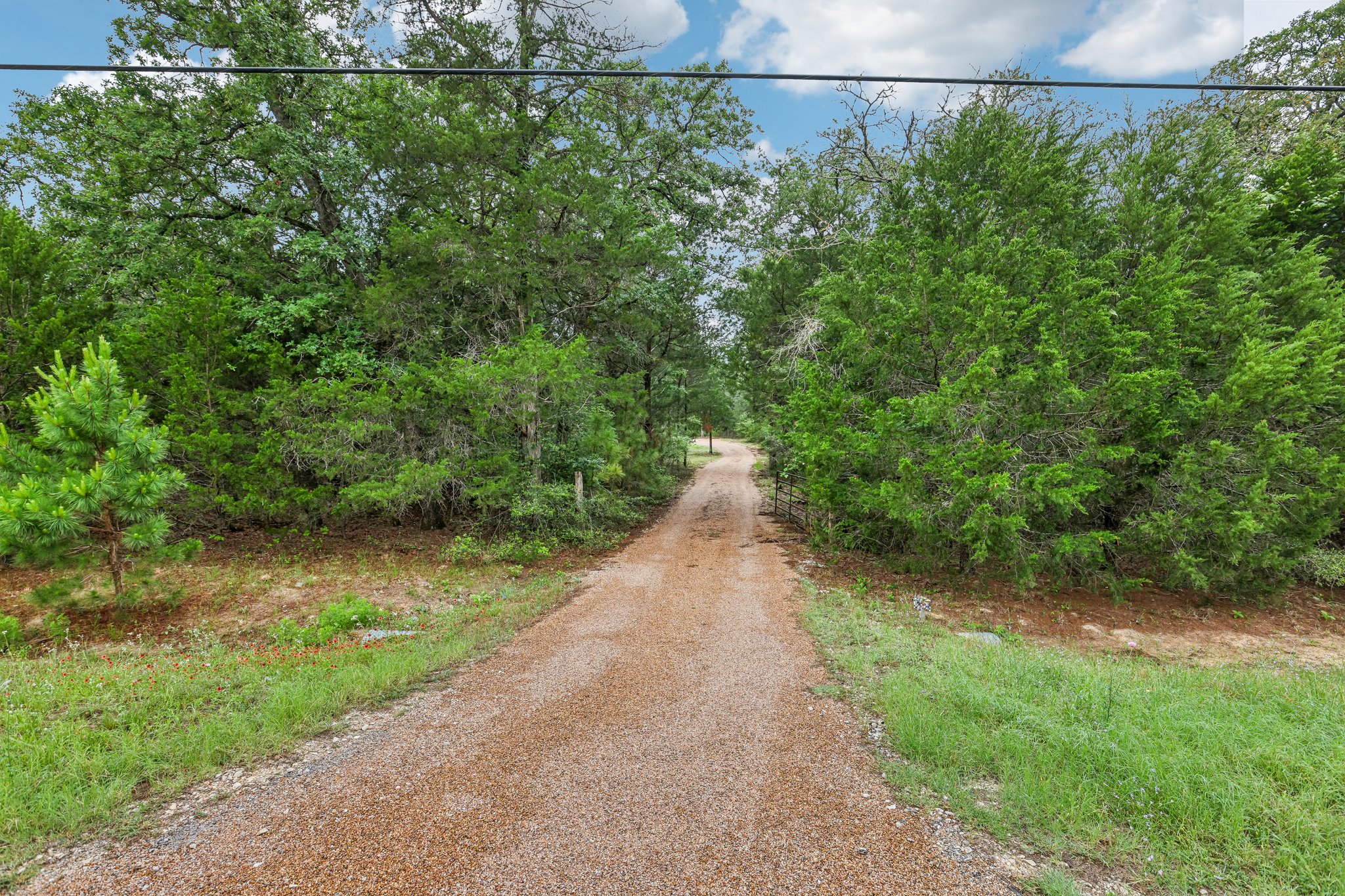 267 Corral Road Smithville, TX 78957 - Photo 2 of 40 Gravel driveway framed by mature trees and lush green foliage
