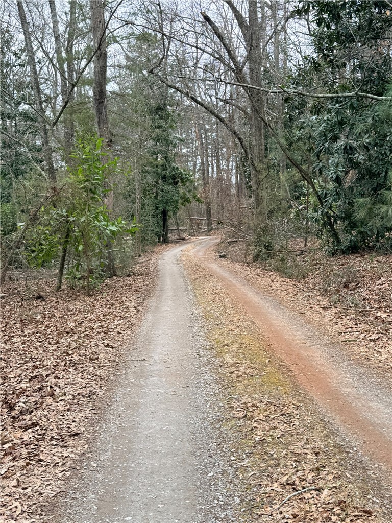 Tbd - Lot A Tbd - Lane Seneca, SC 29678 - Photo 6 of 11
