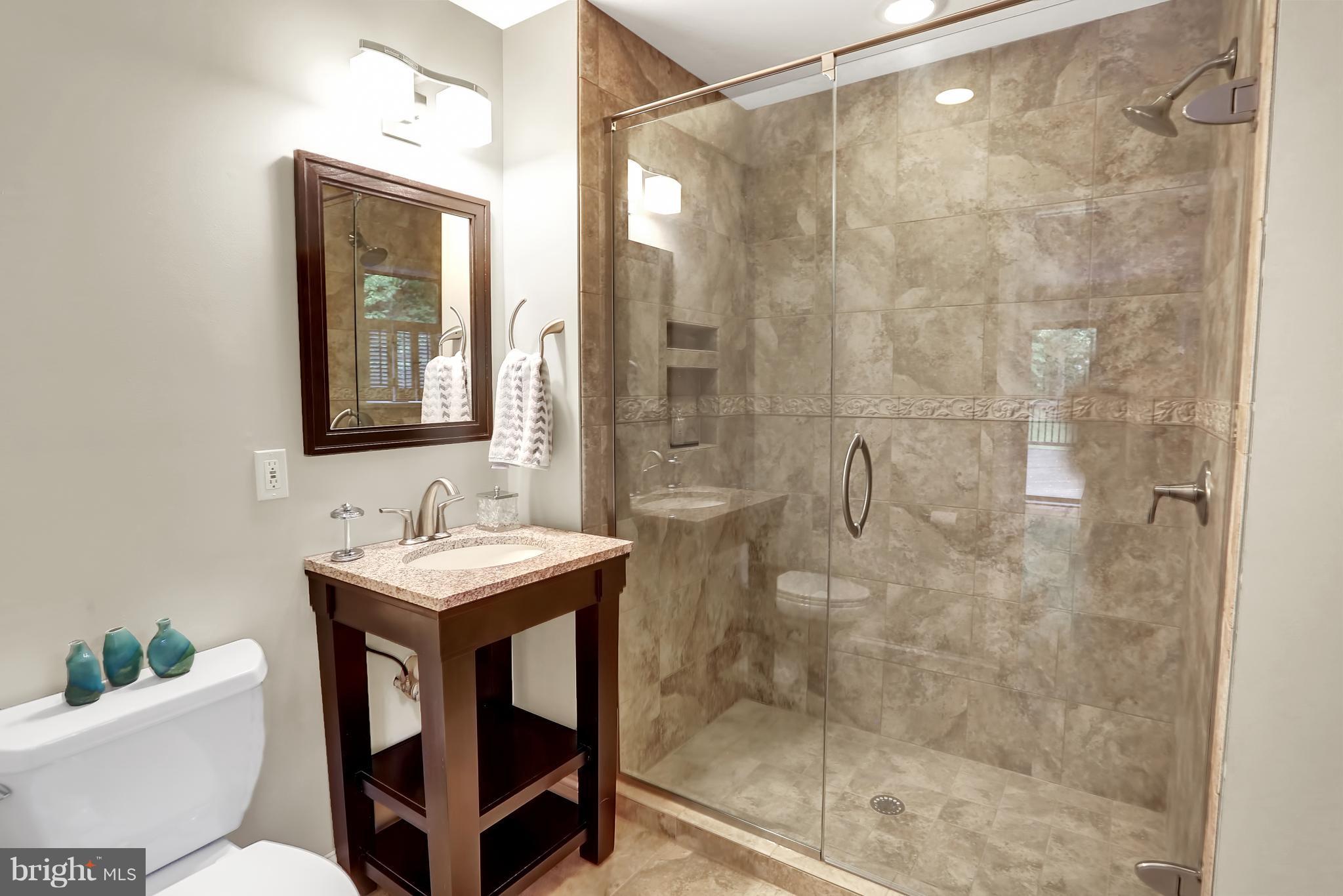 252 Cape St John Road Annapolis, MD 21401 - Photo 15 of 30 Luxurious master bathroom with large shower