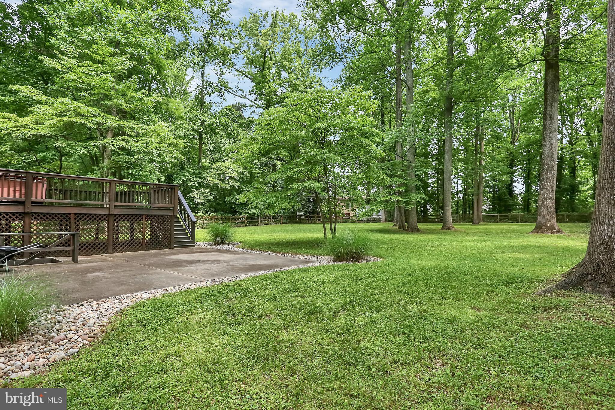 252 Cape St John Road Annapolis, MD 21401 - Photo 29 of 30 View of the rear yard
