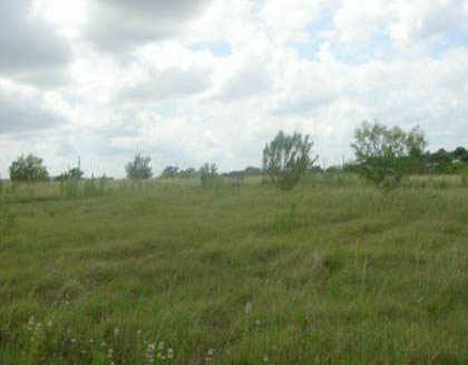 1815 High Road Kyle, TX 78640 - Photo 1 of 1 a view of a field with an ocean