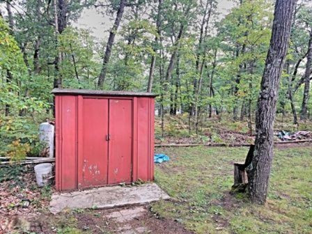 8024 West Hemlock Avenue Baldwin, MI 49304 - Photo 21 of 21 HDR_20200916_083645
