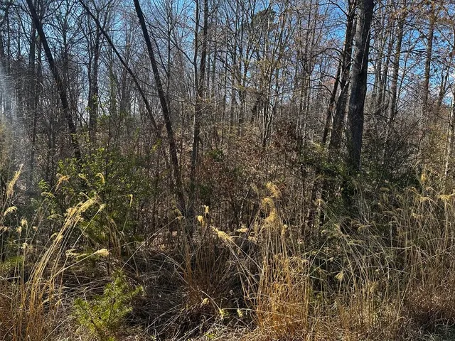 a view of a yard with a tree
