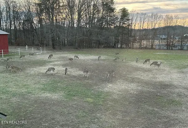 $850,000 | 307 Idlewild Drive, White Pine, TN 37890