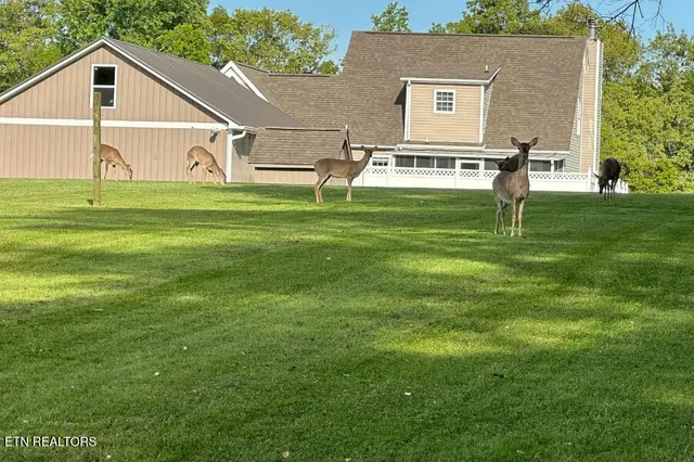 $890,000 | 307 Idlewild Drive, White Pine, TN 37890