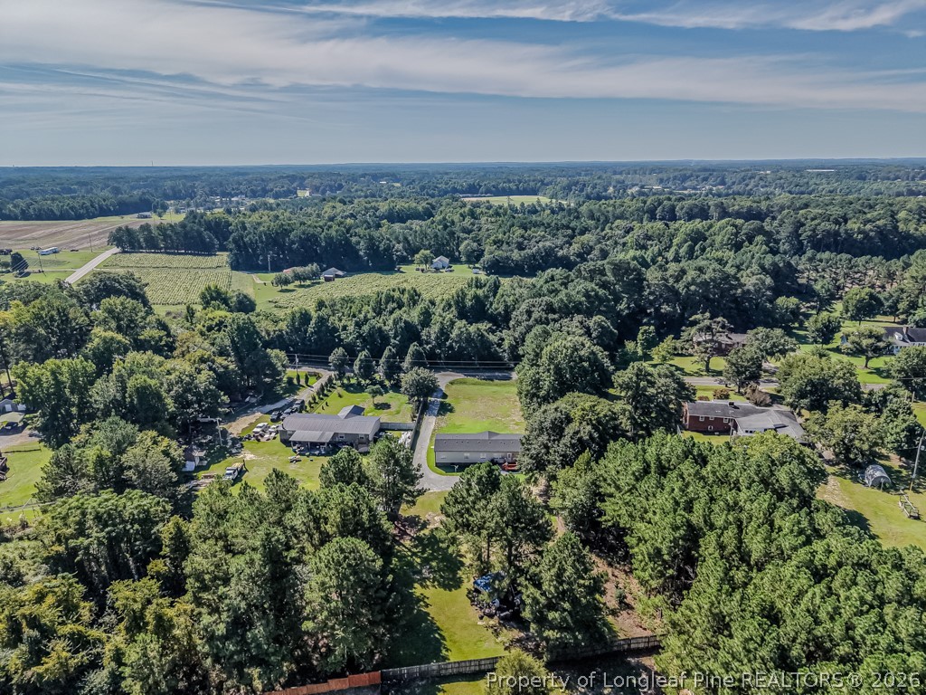 1919 Pumping Station Road Sanford, NC 27330 - Photo 3 of 33 Rear aerial view