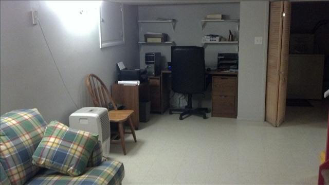 10283 Summerfield Road Temperance, MI 48182 - Photo 13 of 20 Basement rec room