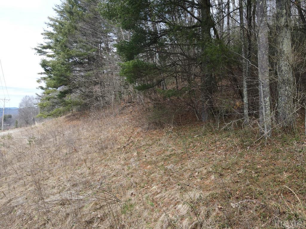 Tbd Pine Creek Road Cullowhee, NC 28723 - Photo 39 of 51 Gallery Image 39