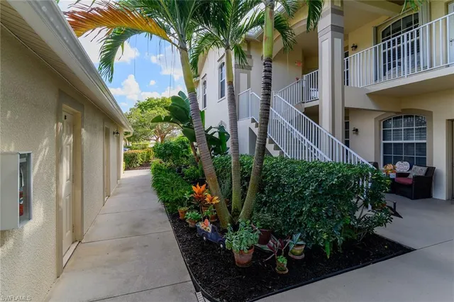 a view of a potted plants on a sidewalk