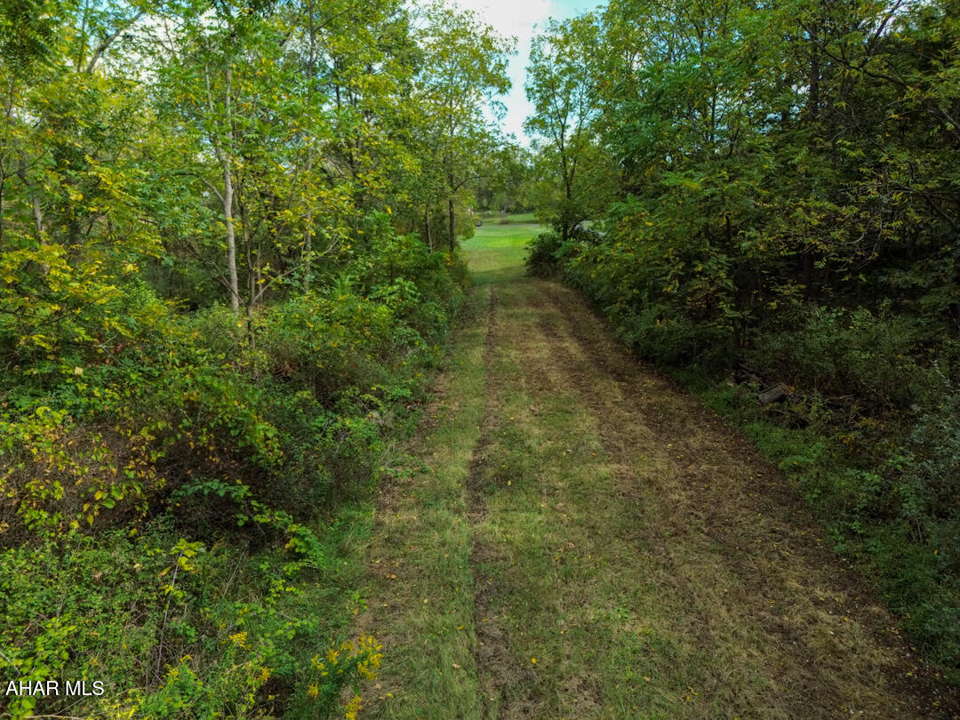 0 Chalybeate Road Bedford, PA 15522 - Photo 6 of 10