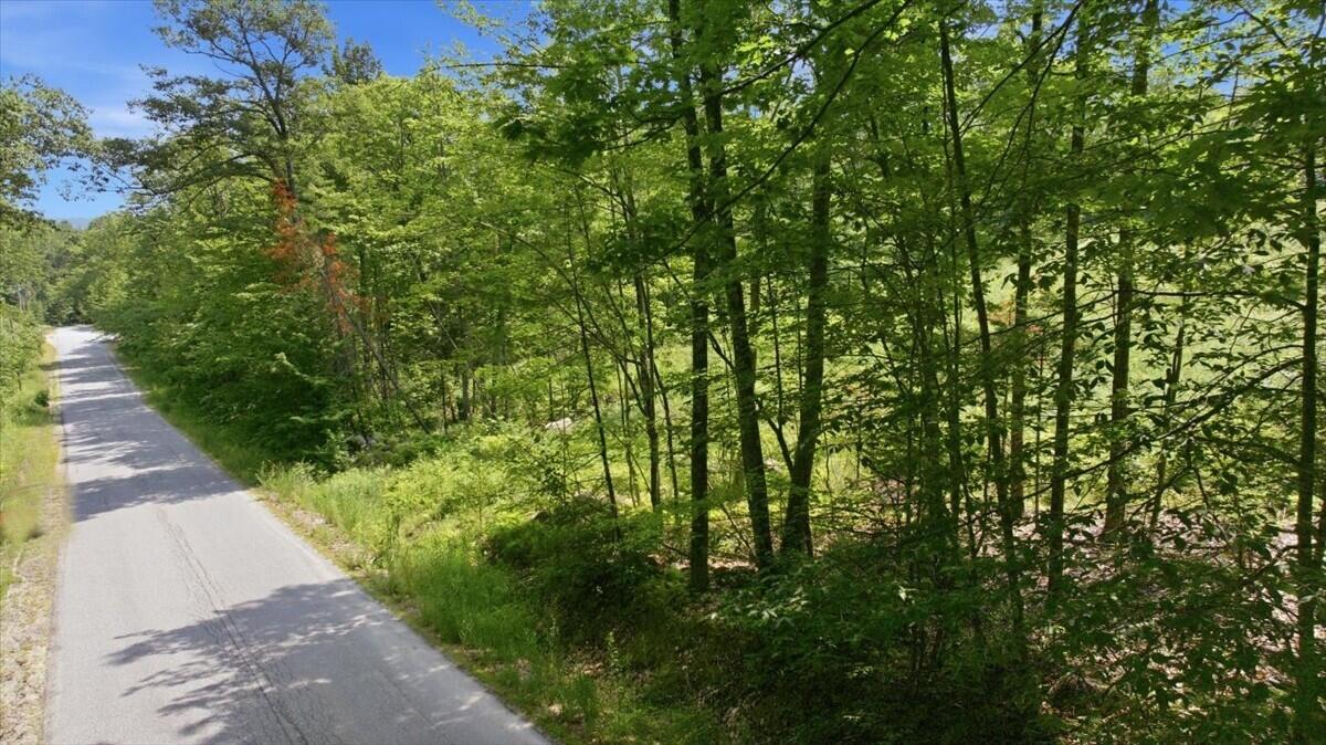 273 Wiley Road Greene, ME 04236 - Photo 18 of 21 Road Frontage