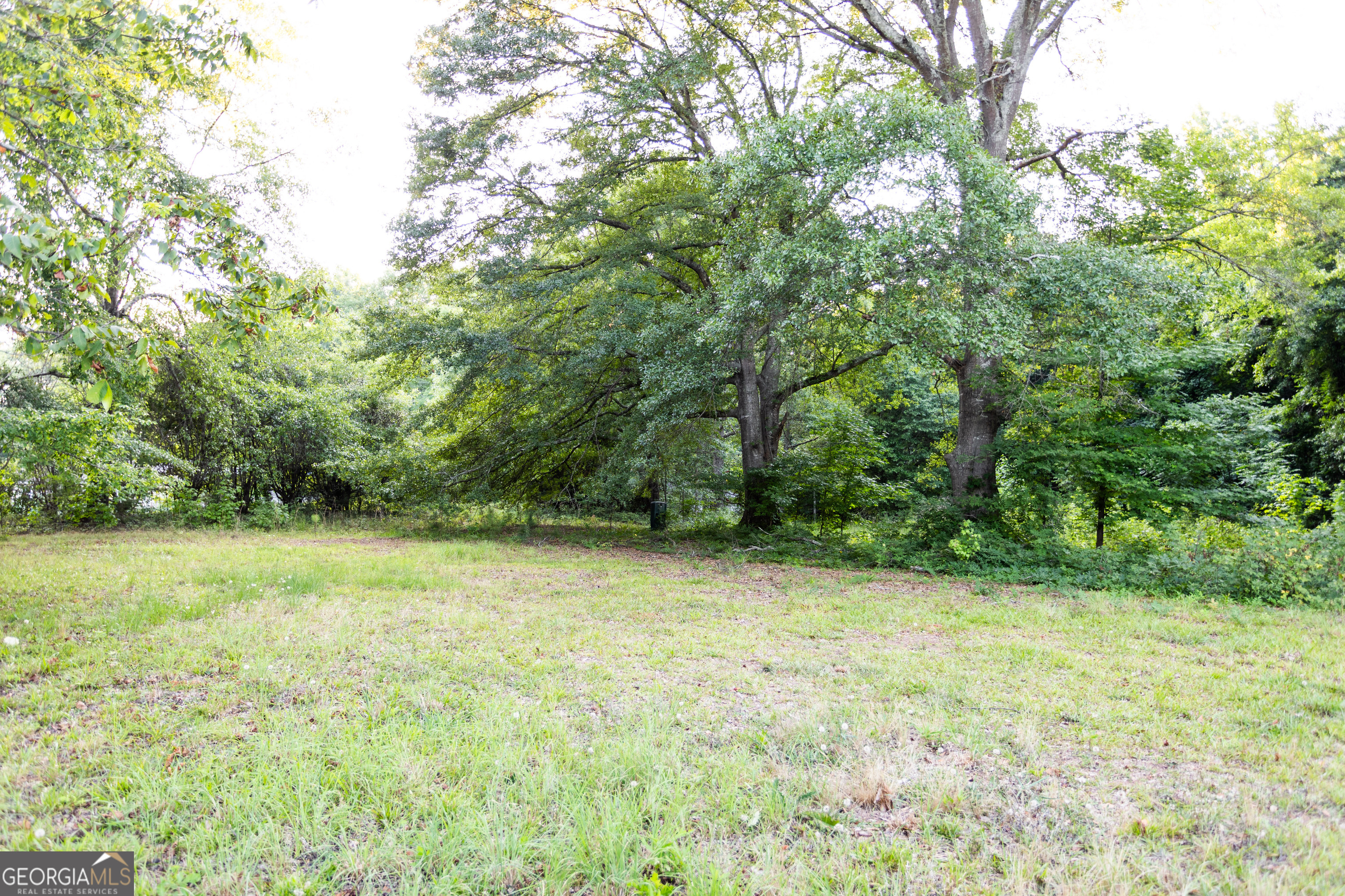 1585 Flat Rock Road Covington, GA 30014 - Photo 42 of 48 a view of a big yard with green space