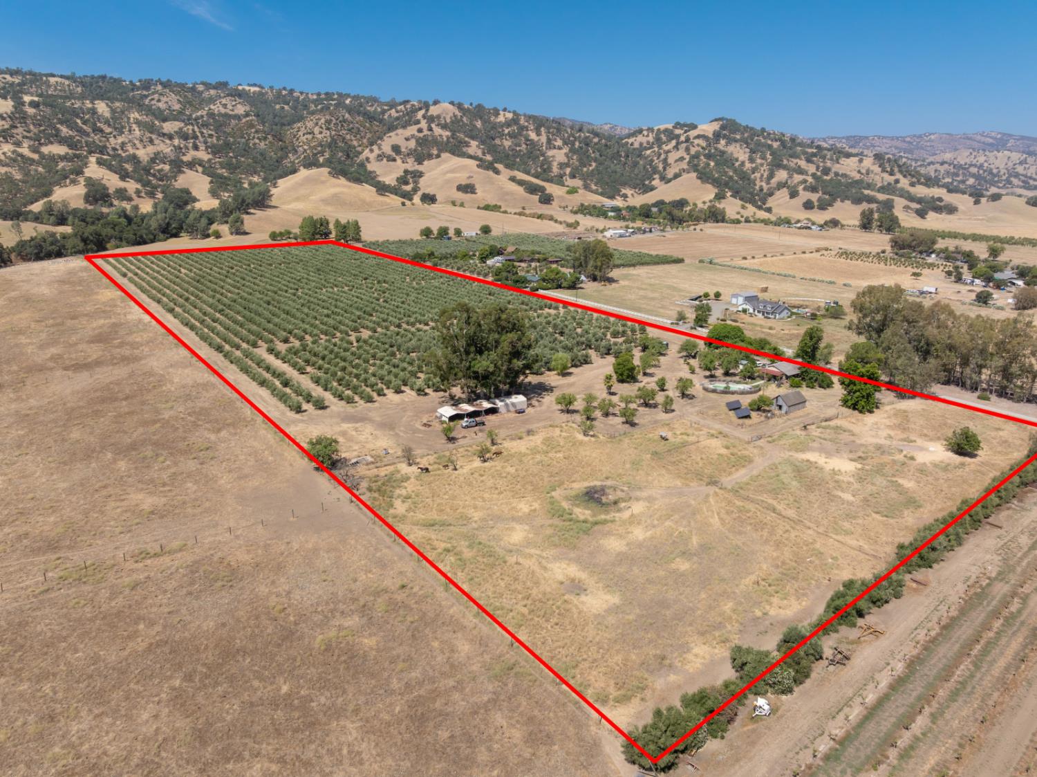 20115 County Road 79A Capay, CA 95607 - Photo 3 of 44