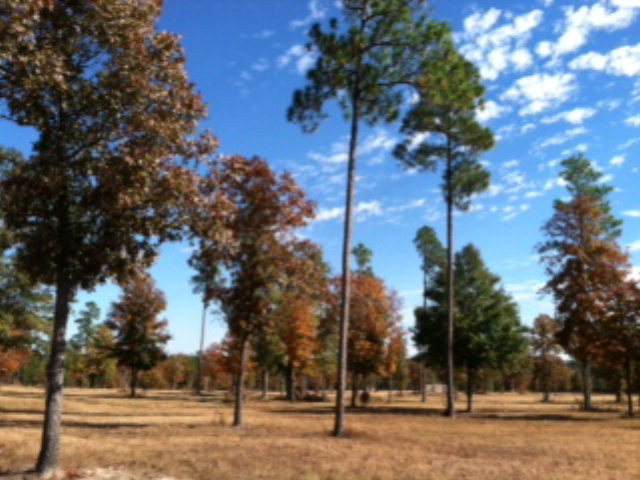 Whipper-in Whipper-In Trail Aiken, SC 29803 - Photo 1 of 1