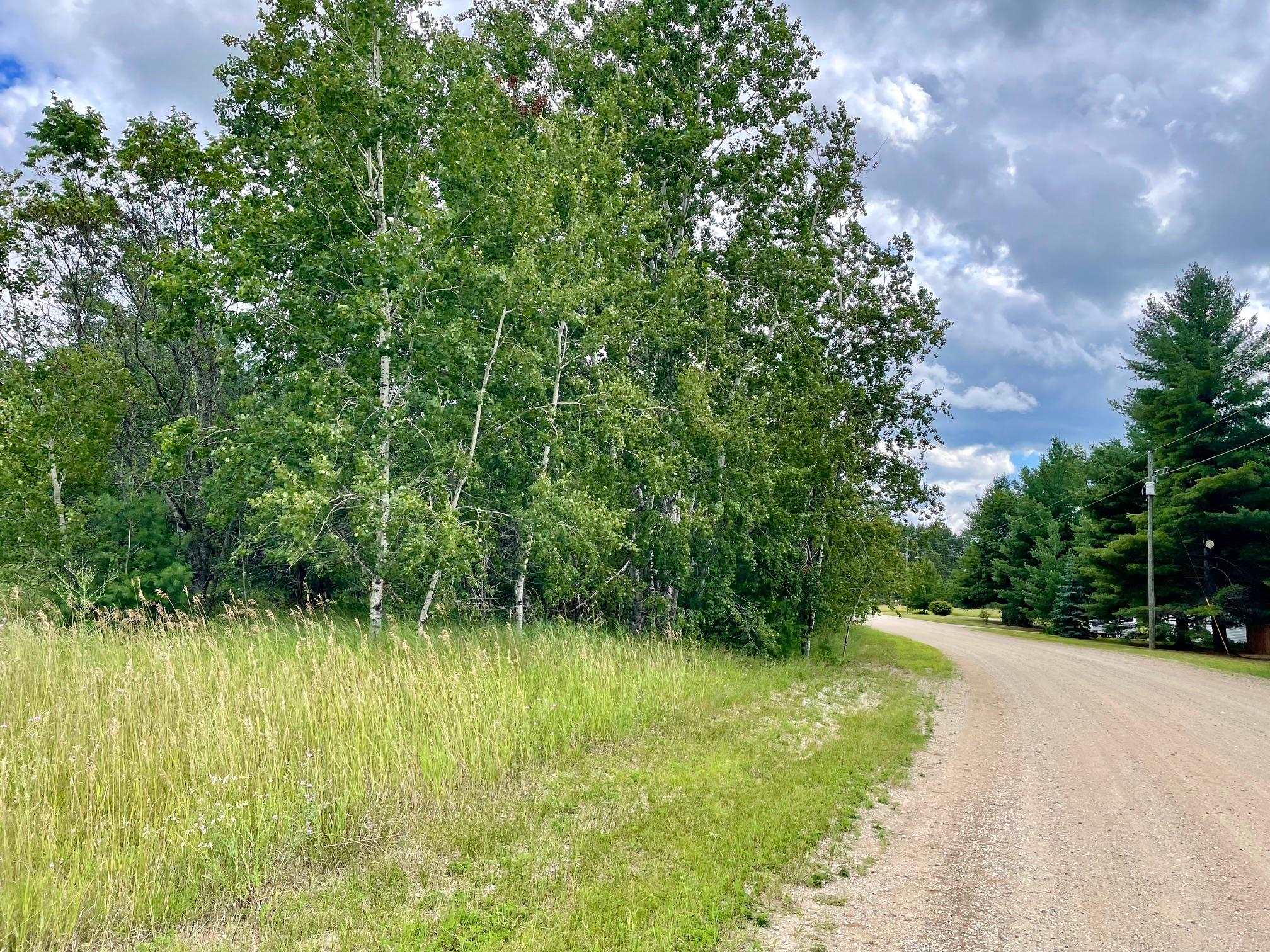 969-987 Quail Road Southwest Kalkaska, MI 49646 - Photo 8 of 14