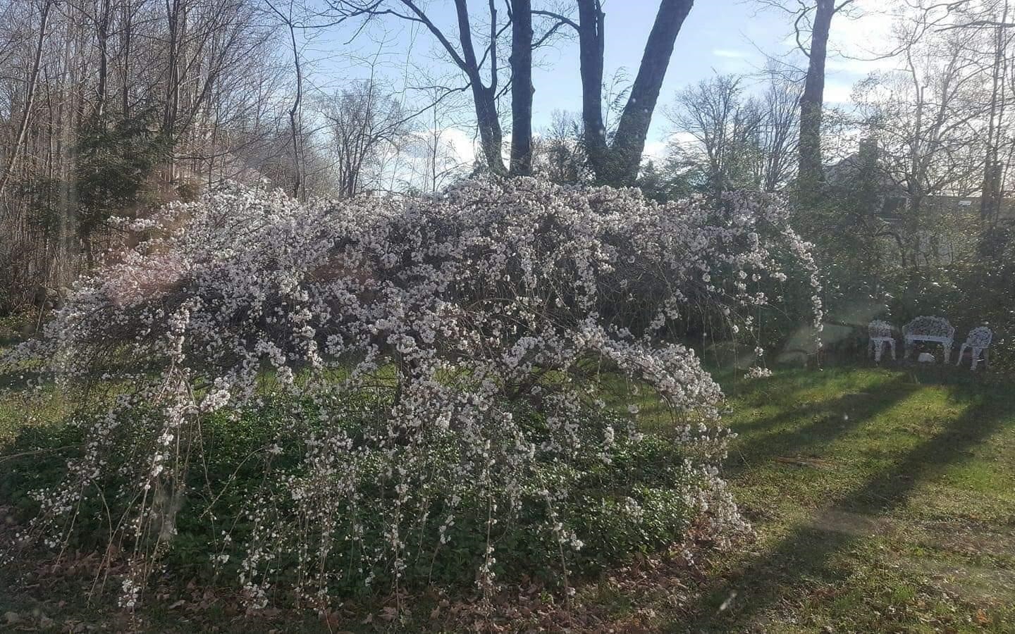 103 Highway 119 Fitzwilliam, NH 03447 - Photo 32 of 33