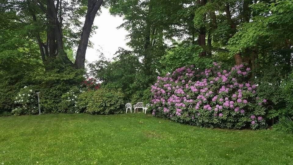 103 Highway 119 Fitzwilliam, NH 03447 - Photo 33 of 33