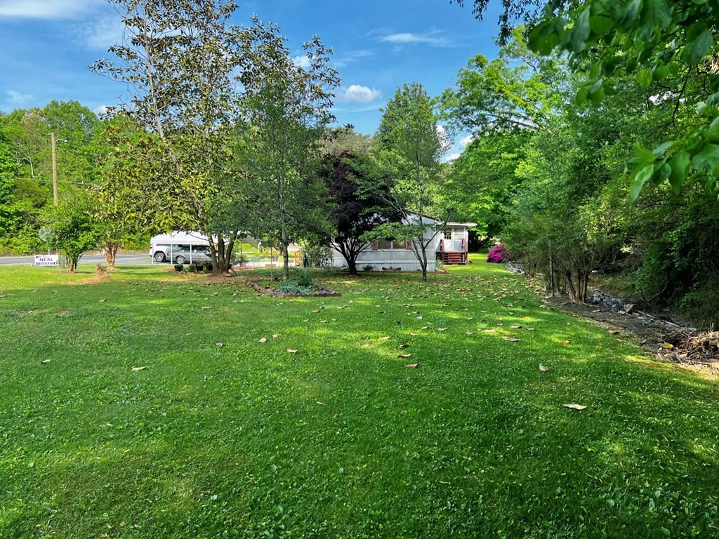 106 Pin Hook Road Spring City, TN 37381 - Photo 4 of 37 a view of a park with large trees