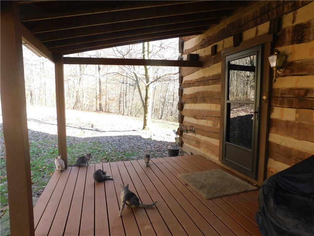 1010 Urich Road Smithton, PA 15479 - Photo 19 of 23 AND...A COVERED BACK PORCH. SERENE AND PRIVATE. VISITING CATS NOT INCLUDED!