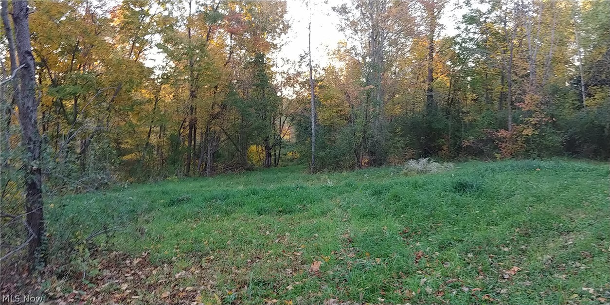 2450 Keffer Road Stockport, OH 43787 - Photo 34 of 35