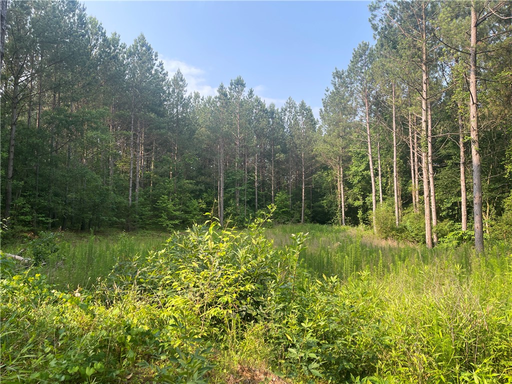 215 Fishers Cove Road Fair Play, SC 29643 - Photo 1 of 2 Gallery Image 1