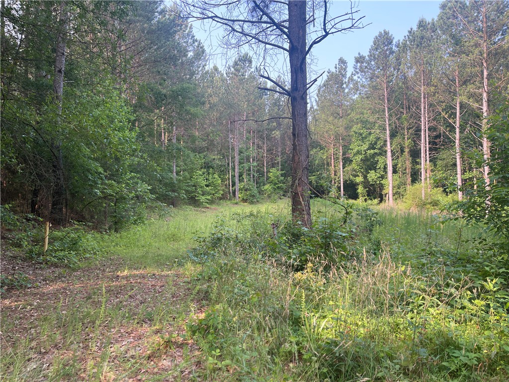 215 Fishers Cove Road Fair Play, SC 29643 - Photo 2 of 2 Gallery Image 2