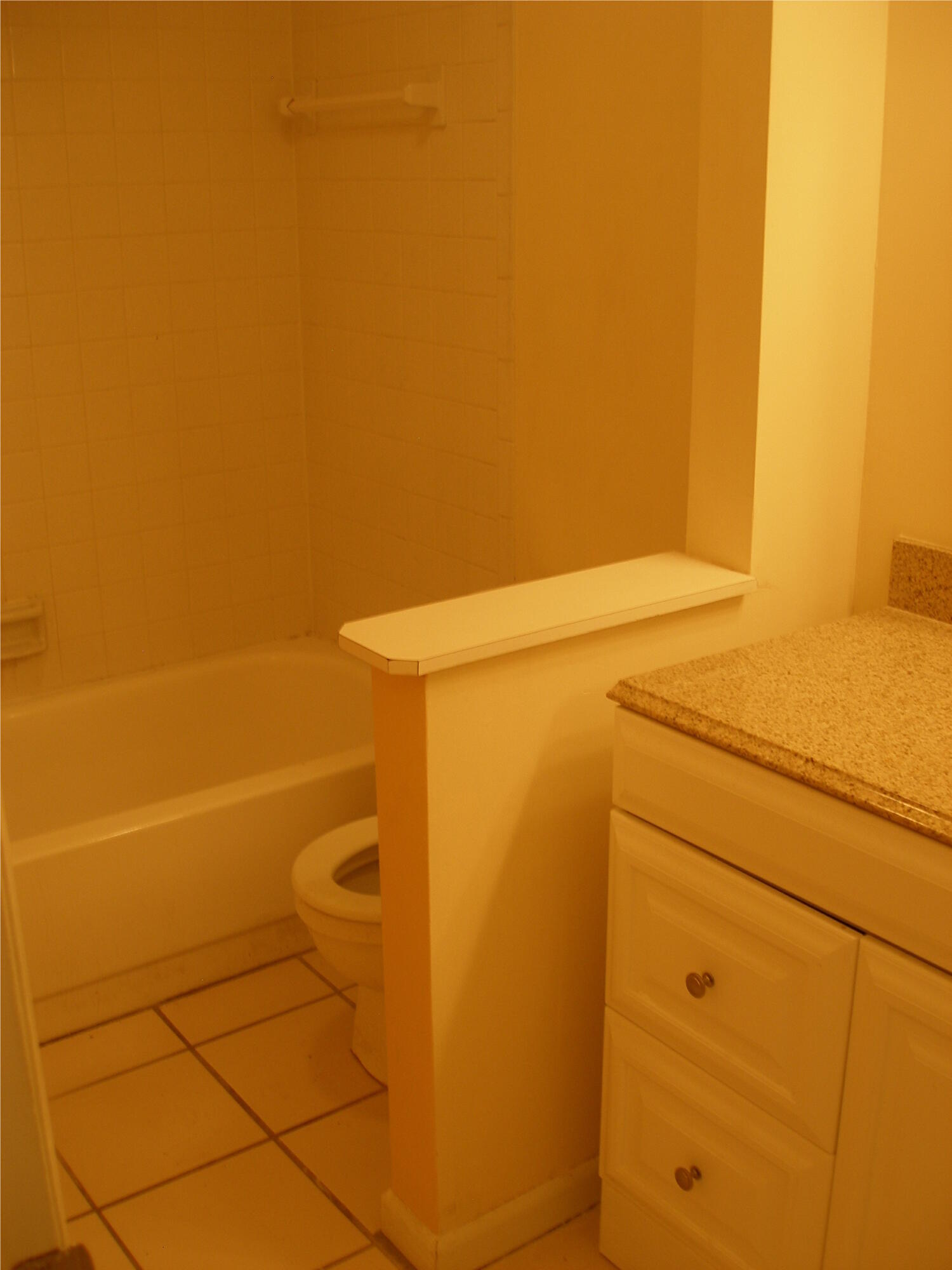 194 Pinewood Court Jupiter, FL 33458 - Photo 14 of 16 P5310306