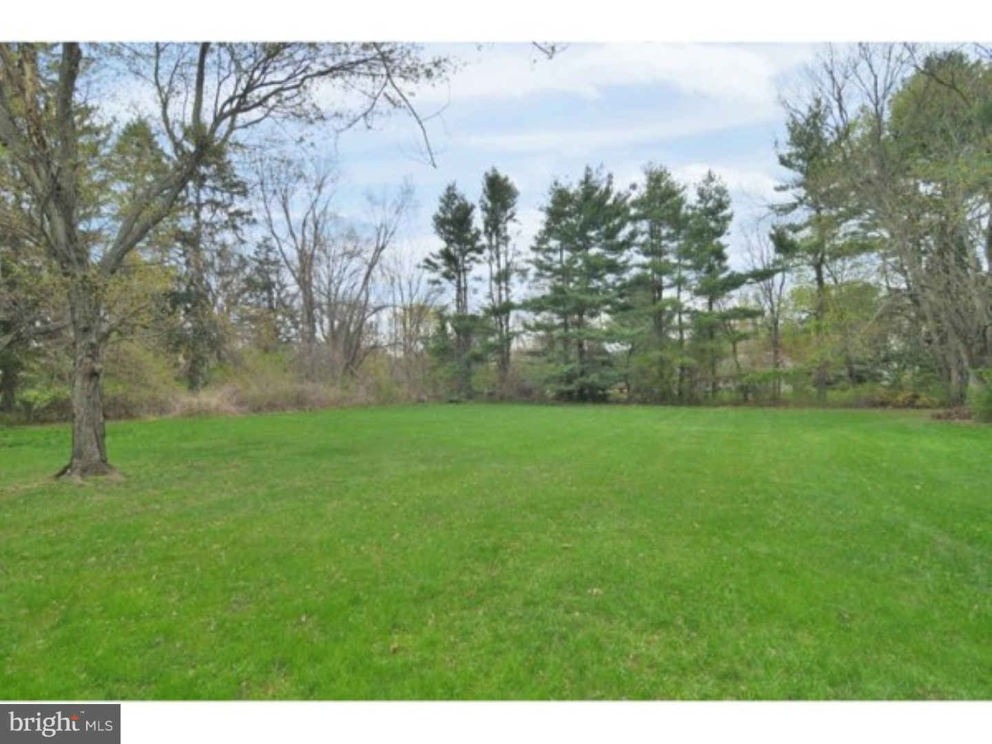 318 Stout Road Ambler, PA 19002 - Photo 8 of 22 Front Yard