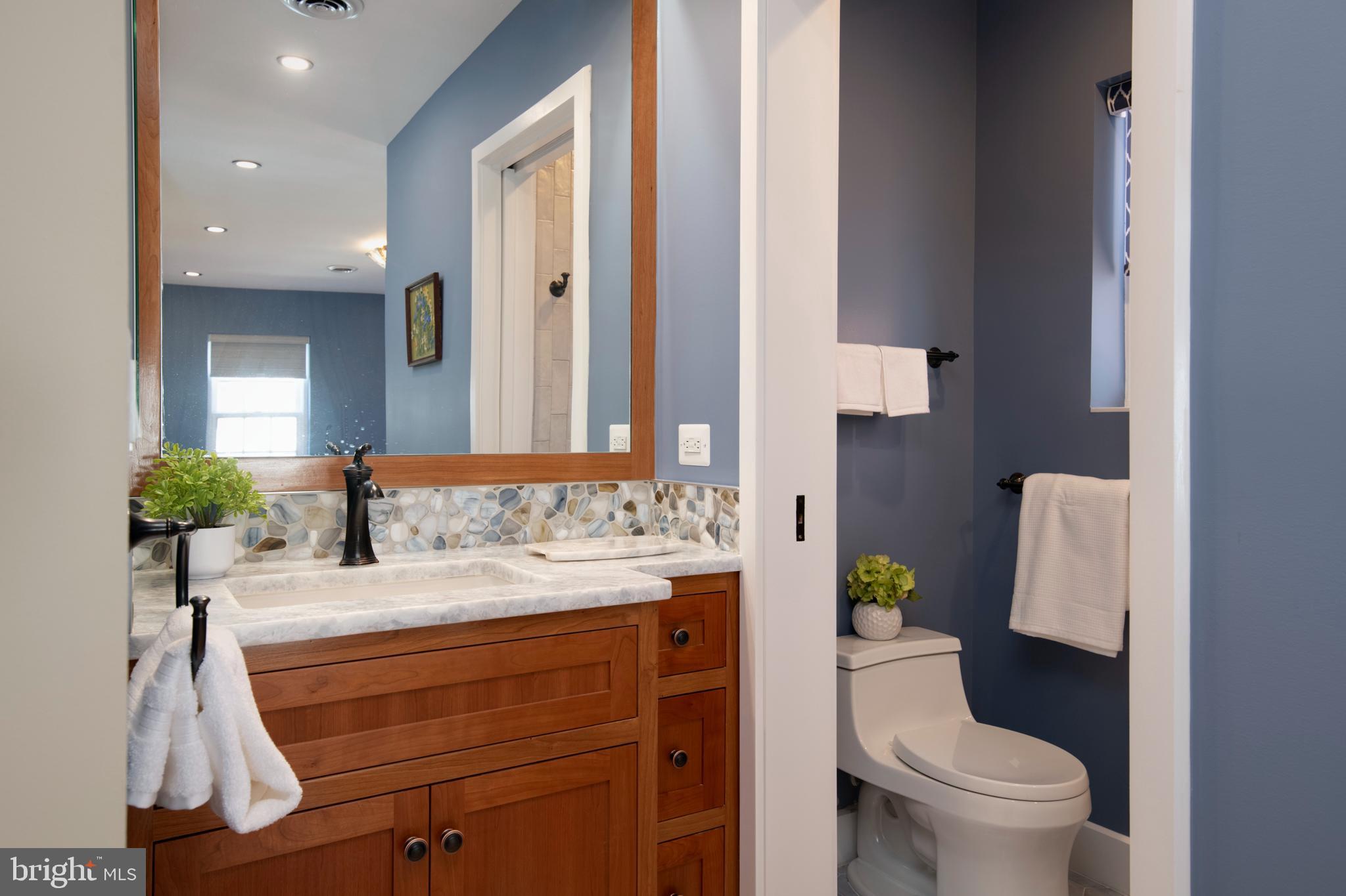 237 Hanover Street Annapolis, MD 21401 - Photo 39 of 48 a bathroom with a sink a toilet and a mirror