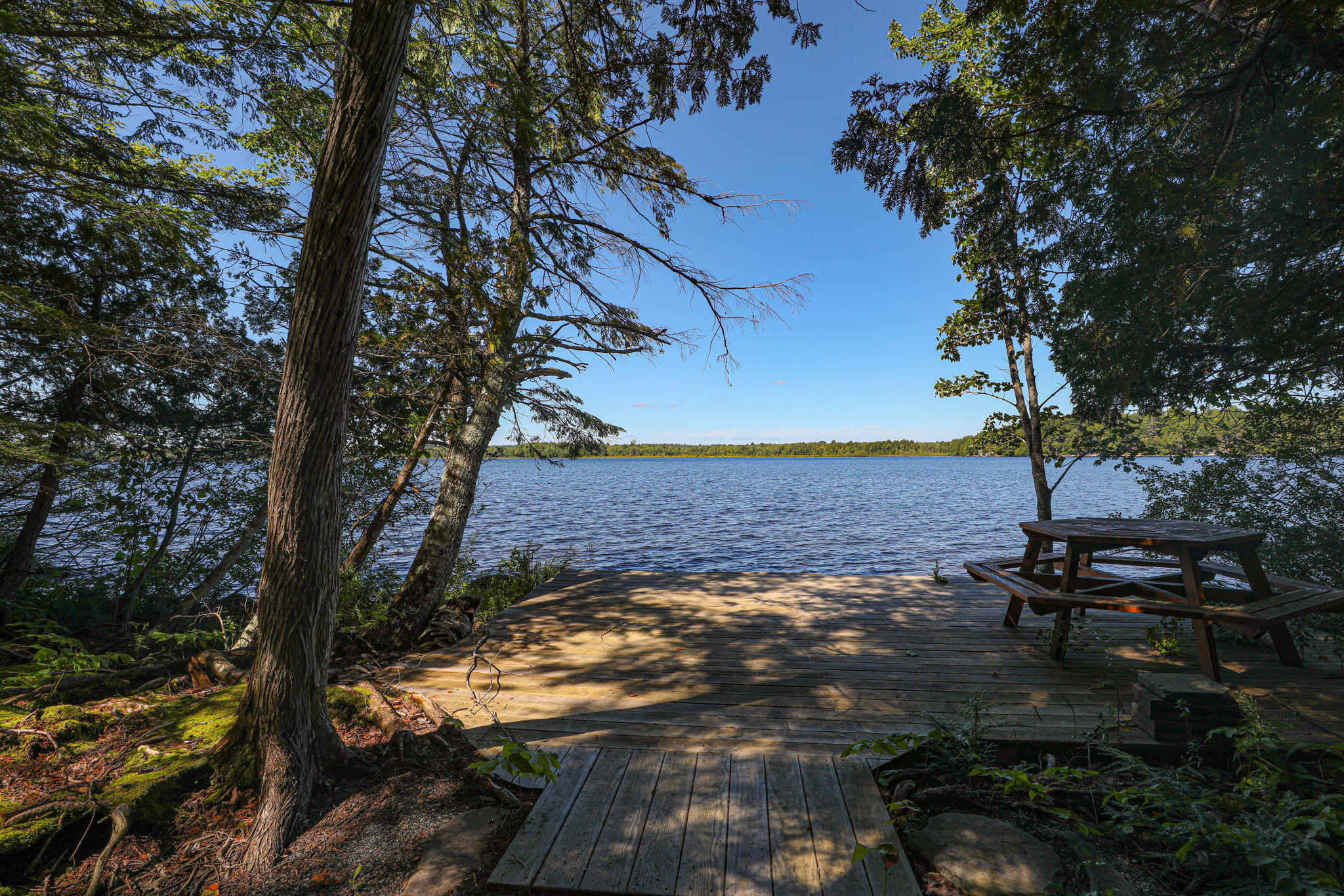 364 Lapoint Road Stetson, ME 04488 - Photo 5 of 59 364+Lapoint+Rd+Stetson-57-web