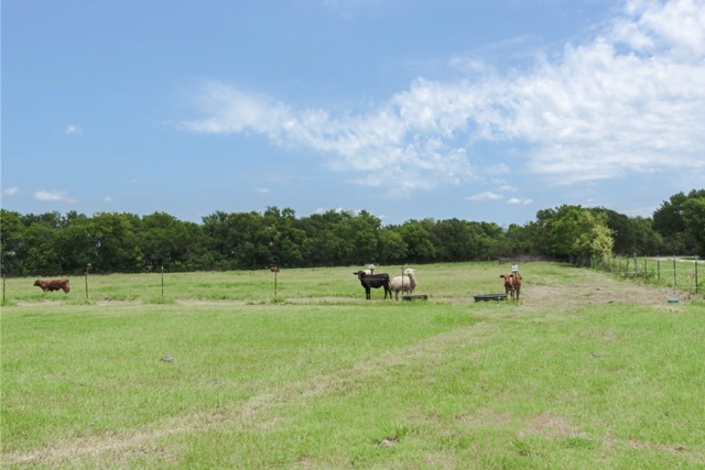 835 County Road 182 Marlin, TX 76661 - Photo 24 of 27 a view of outdoor space with mountain view