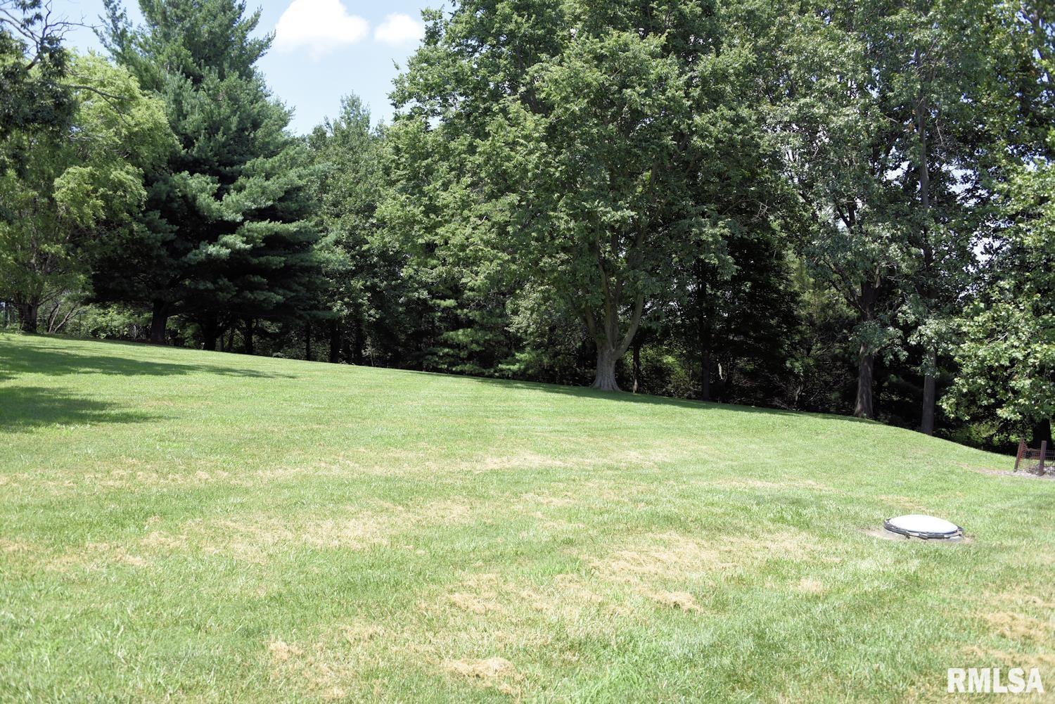 8155 Old Jacksonville Road Pleasant Plains, IL 62677 - Photo 25 of 26
