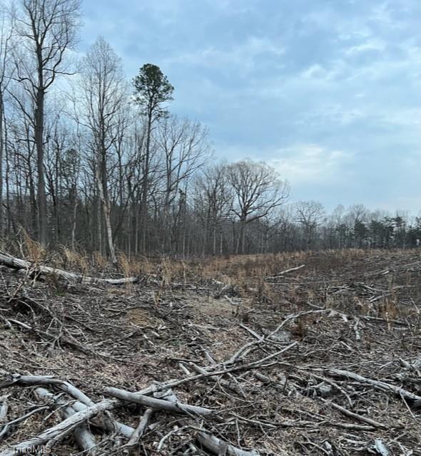 0 Reedy Creek Road Lexington, NC 27295 - Photo 2 of 2 Gallery Image 2